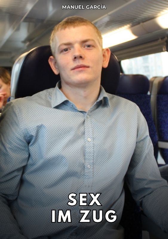Sex im Zug