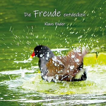 Die Freude entdecken