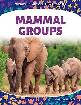 Mammal Groups