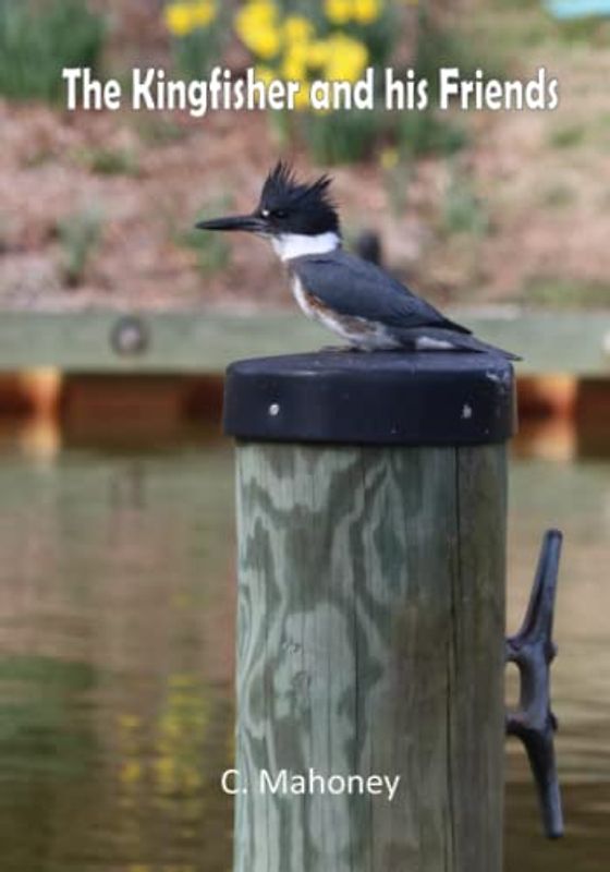 The Kingfisher and his Friends