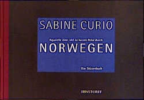 Skizzenbuch einer viel zu kurzen Reise nach Norwegen