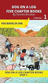 FIVE CHAPTER BOOKS 1