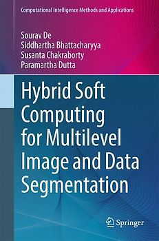 Hybrid Soft Computing for Multilevel Image and Data Segmentation