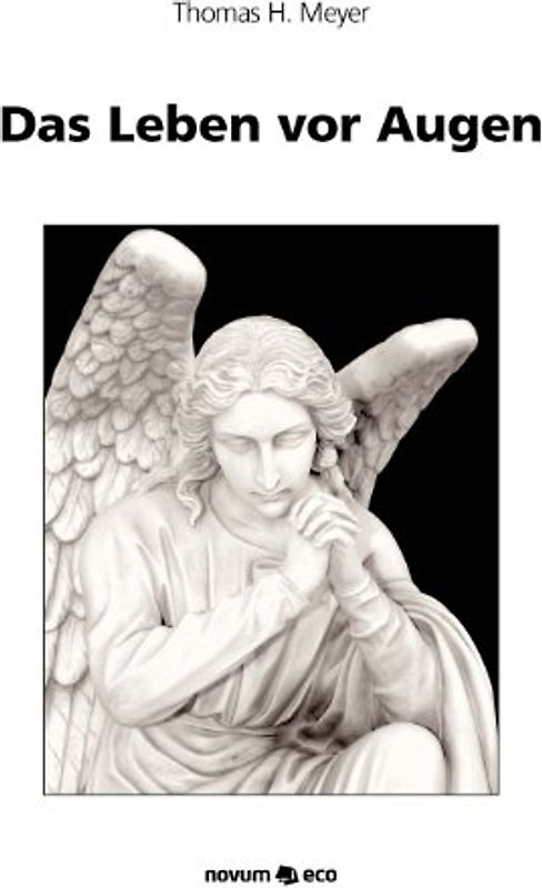 Das Leben vor Augen