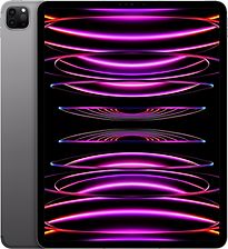 Apple iPad Pro 12,9 128GB [wifi + cellular, model 2022] spacegrijs