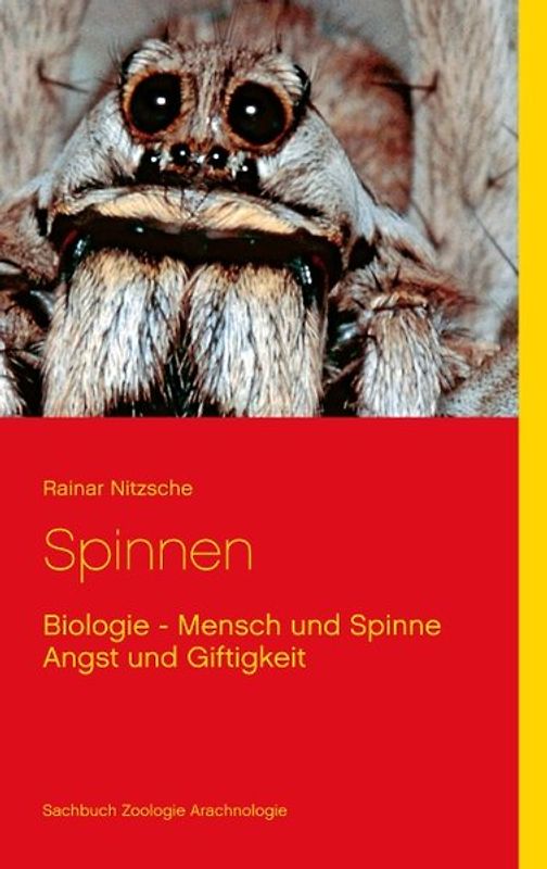 Spinnen