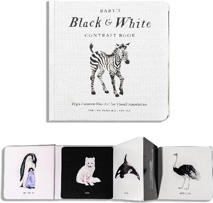 Baby's Black and White Contrast Book