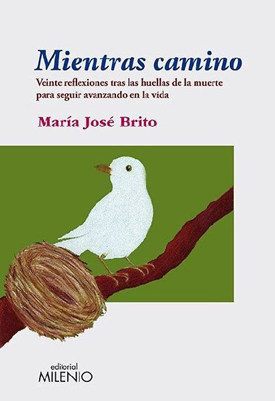 Mientras camino : veinte reflexiones tras las huellas de la muerte para seguir avanzando en la vida