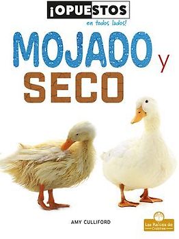 Mojado Y Seco (Wet and Dry)