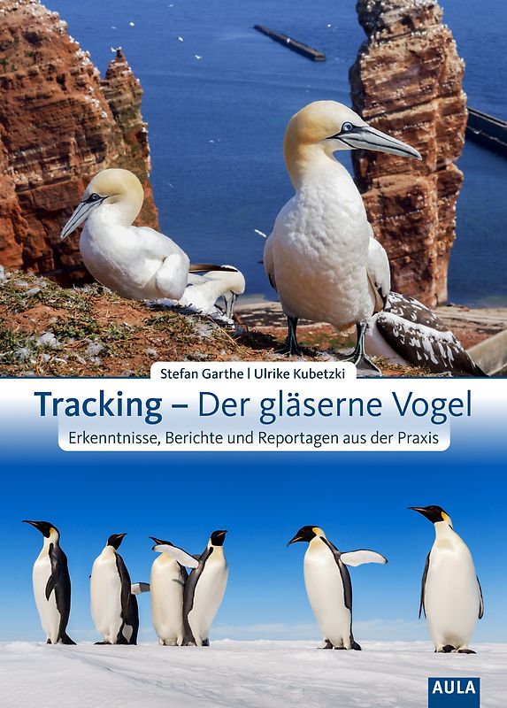 Tracking – Der gläserne Vogel