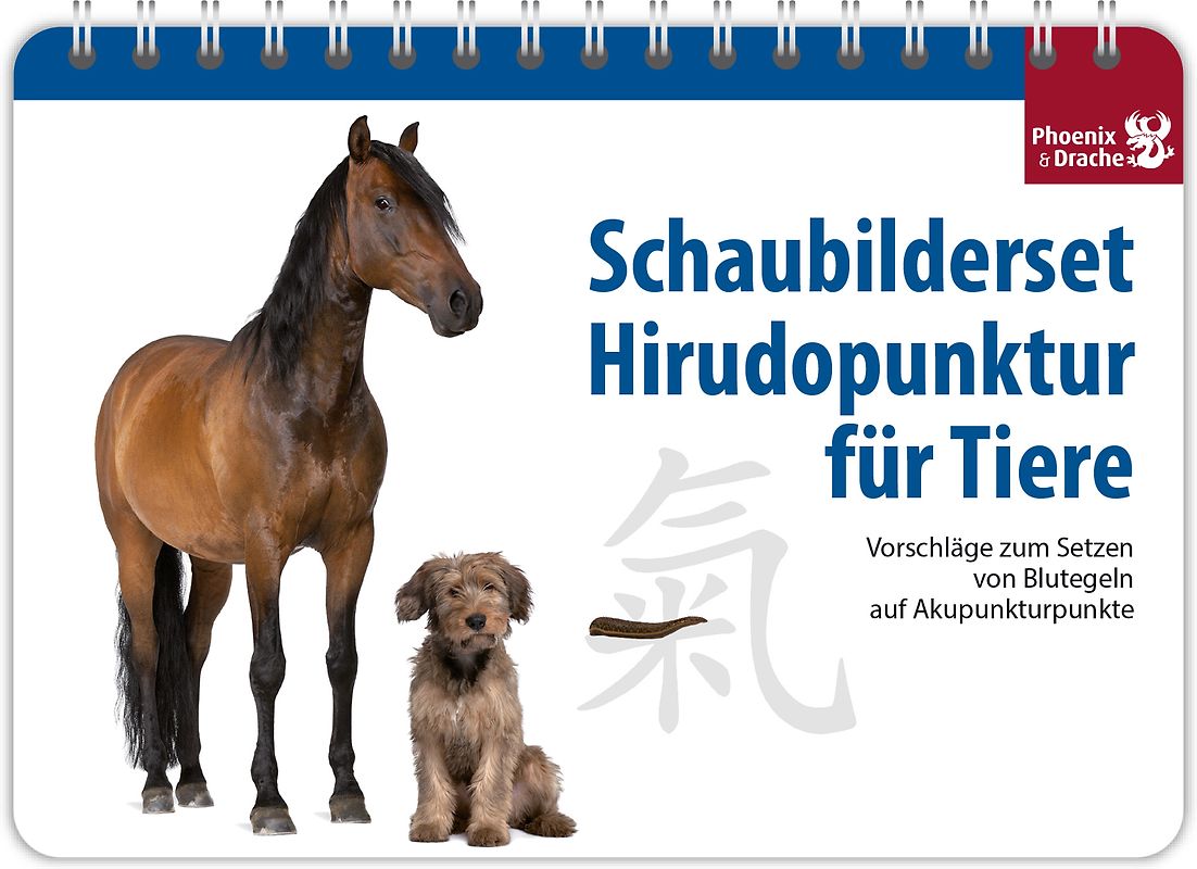 Schaubilderset Hirudopunktur für Tiere - Deutsche Ausgabe -> nur noch Schweizer Ausgabe lieferbar!
