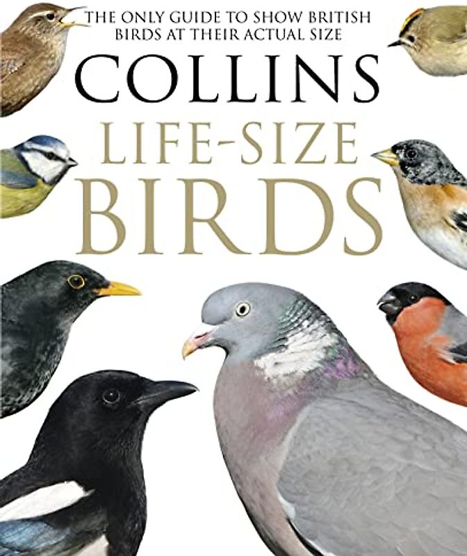 Collins Life-Size Birds: The Only Guide to Show British Birds at their Actual Size