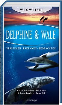 Delphine & Wale