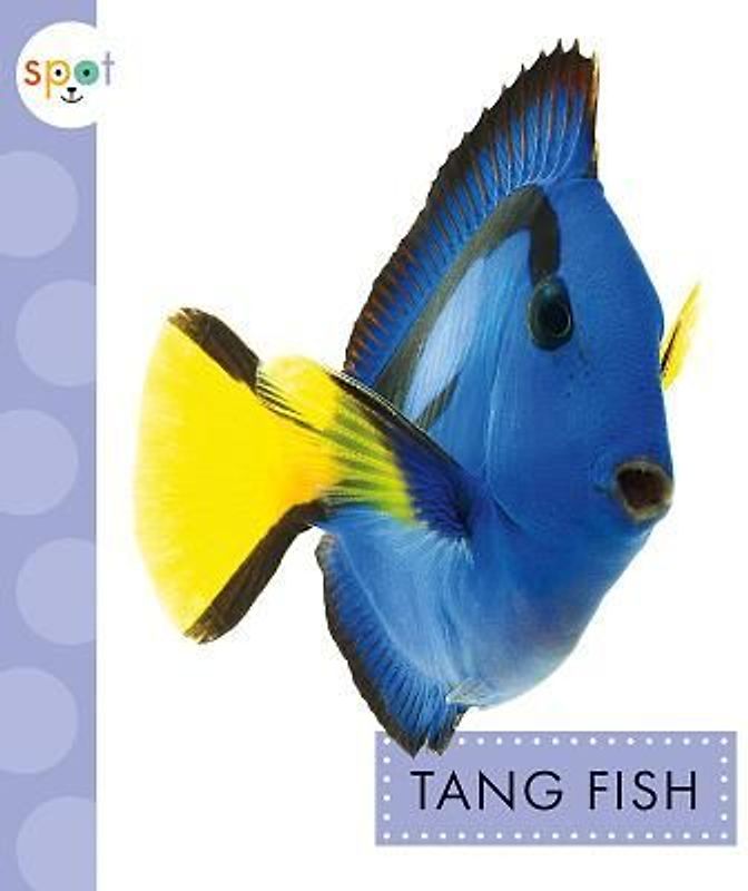 Tang Fish