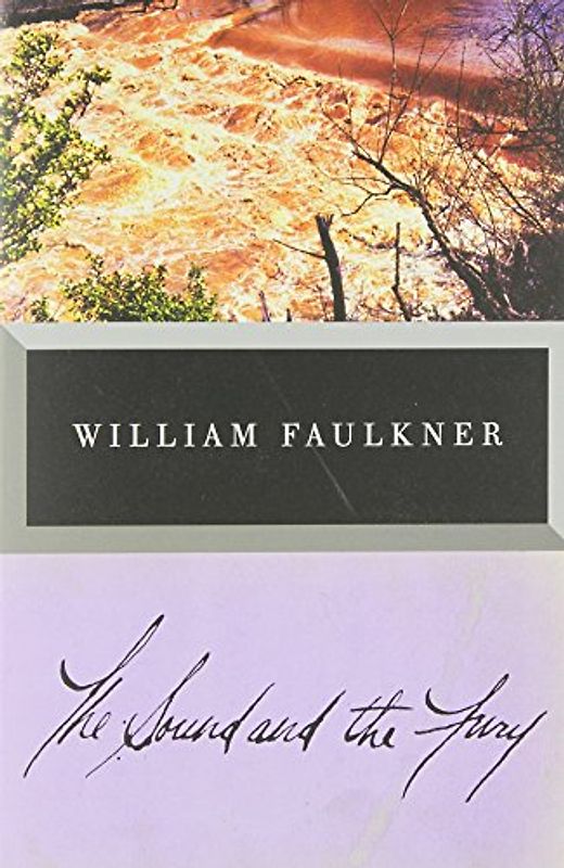 The Sound and the Fury (Vintage International) - William Faulkner