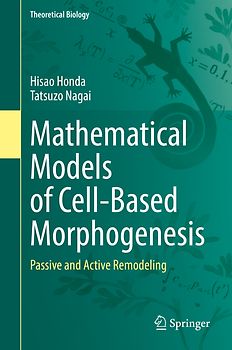Mathematical Models of Cell-Based Morphogenesis