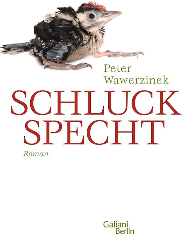 Schluckspecht