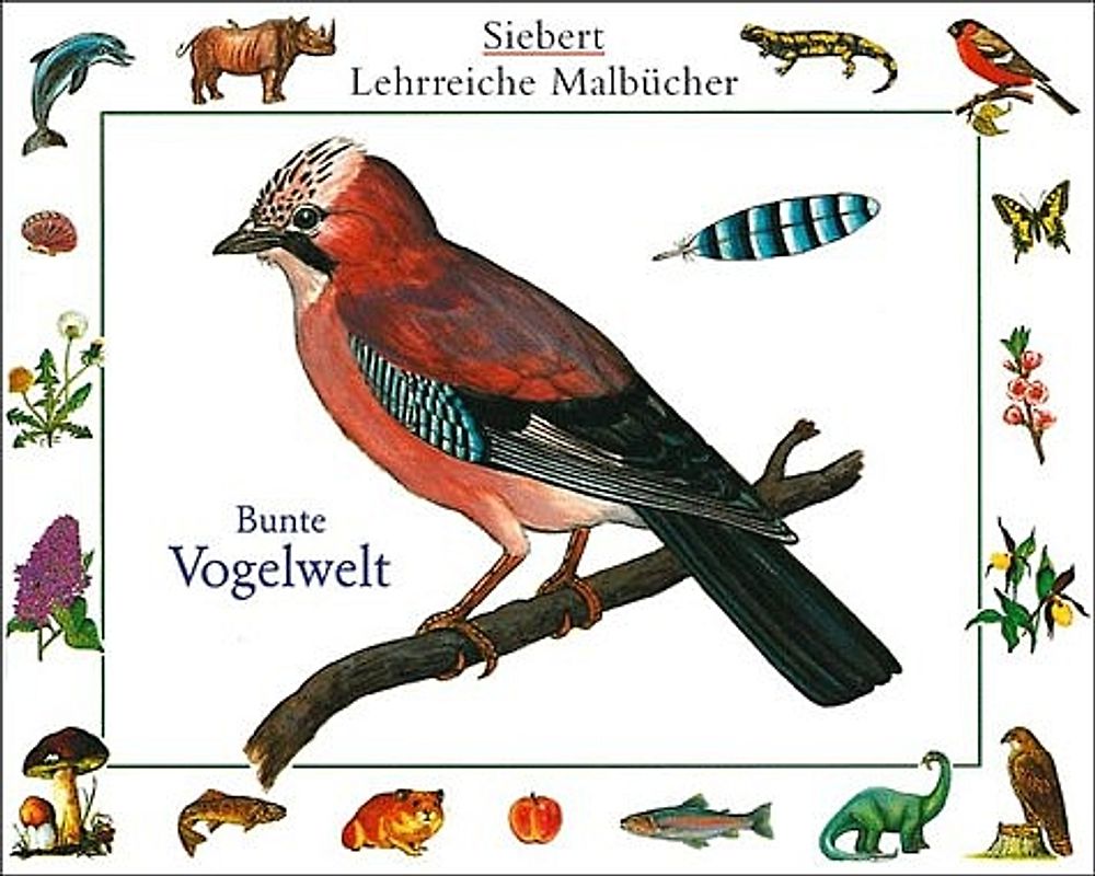 Bunte Vogelwelt. Malbuch. Verpackungseinheit