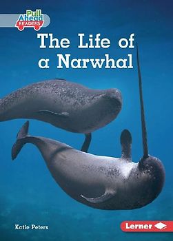 The Life of a Narwhal