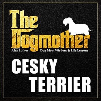 The Dogmother: Cesky Terrier: (Dog Mom Wisdom & Life Lessons)