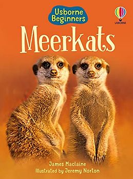 Meerkats (Beginners)