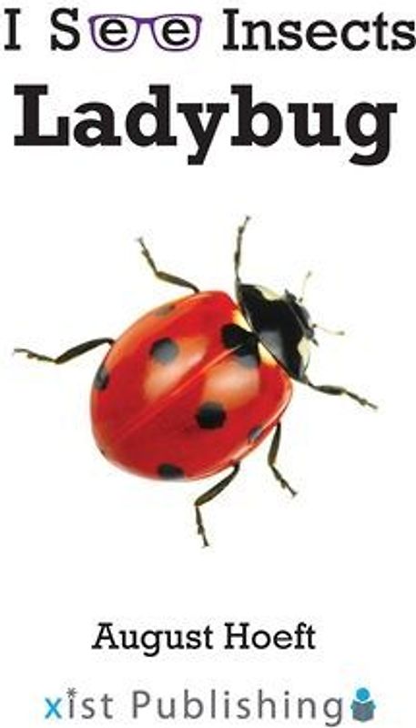 Ladybug