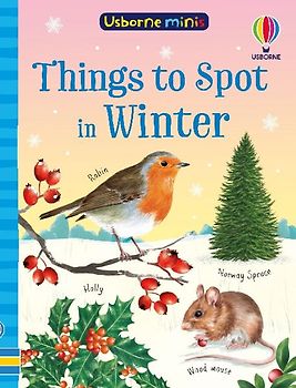 Things to Spot in Winter