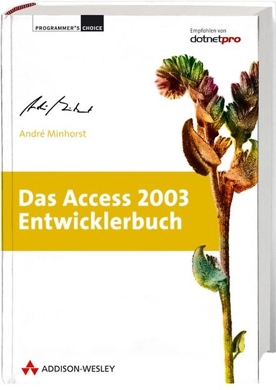Das Access 2003 Entwicklerbuch