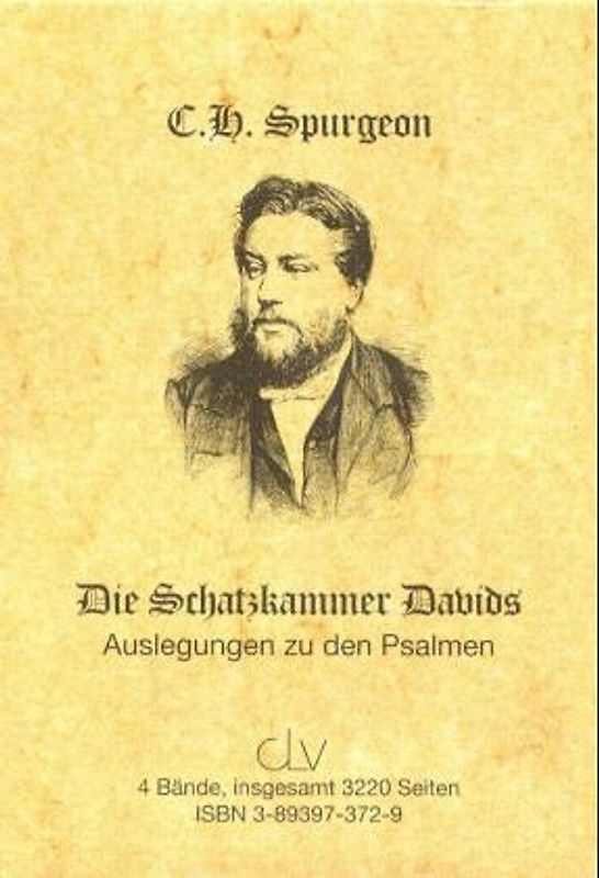 Die Schatzkammer Davids