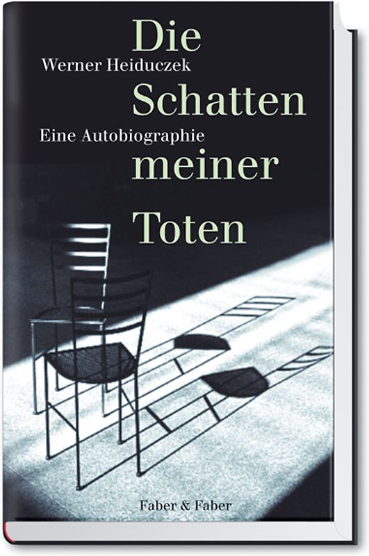 Die Schatten meiner Toten