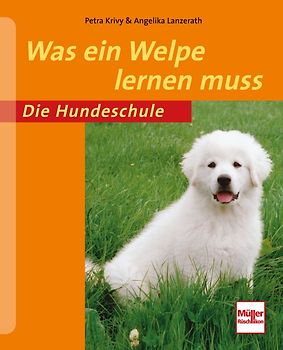 Was ein Welpe lernen muss