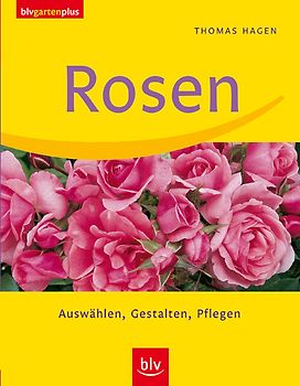 Rosen