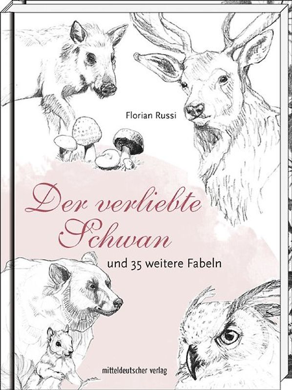 Der verliebte Schwan