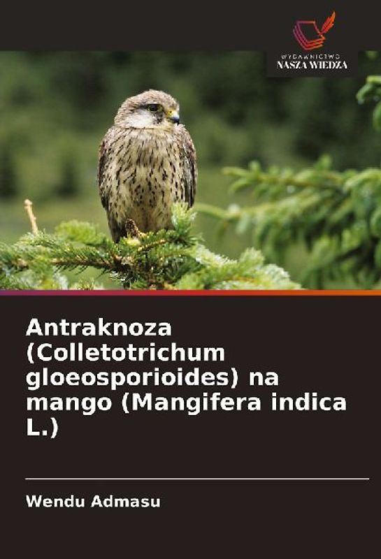 Antraknoza (Colletotrichum gloeosporioides) na mango (Mangifera indica L.)