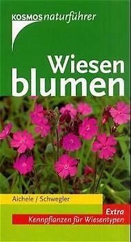 Wiesenblumen