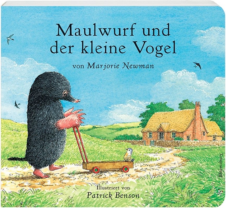 Maulwurf und der kleine Vogel