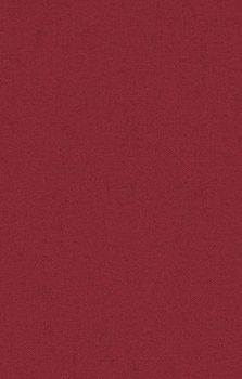 Raoul Tranchirers vielseitiger grosser Ratschläger für alle Fälle der Welt