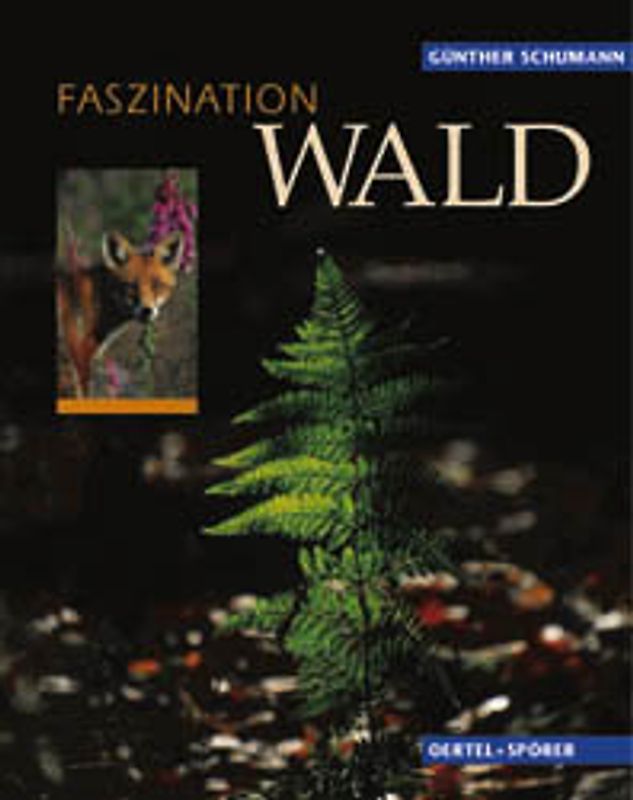 Faszination Wald