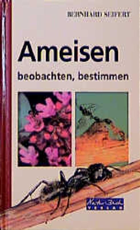 Ameisen. Beobachten, bestimmen
