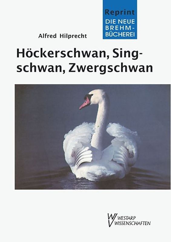 Höckerschwan, Singschwan, Zwergschwan