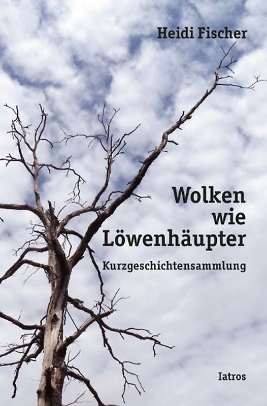 Wolken wie Löwenhäupter