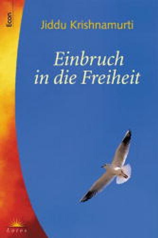 Einbruch in die Freiheit
