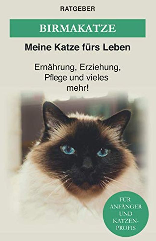 Birma Katze: Die heilige Birma Katze — Ernährung, Erziehung, Pflege und vieles mehr! (Katzenrassen)