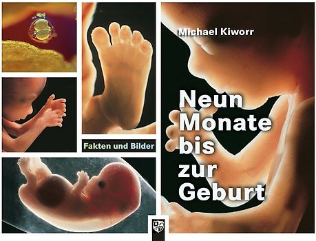 Neun Monate bis zur Geburt