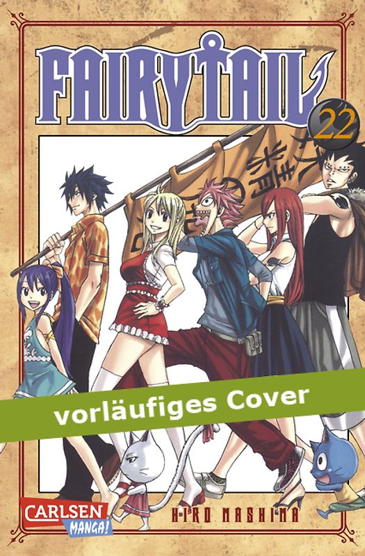 Fairy Tail 22