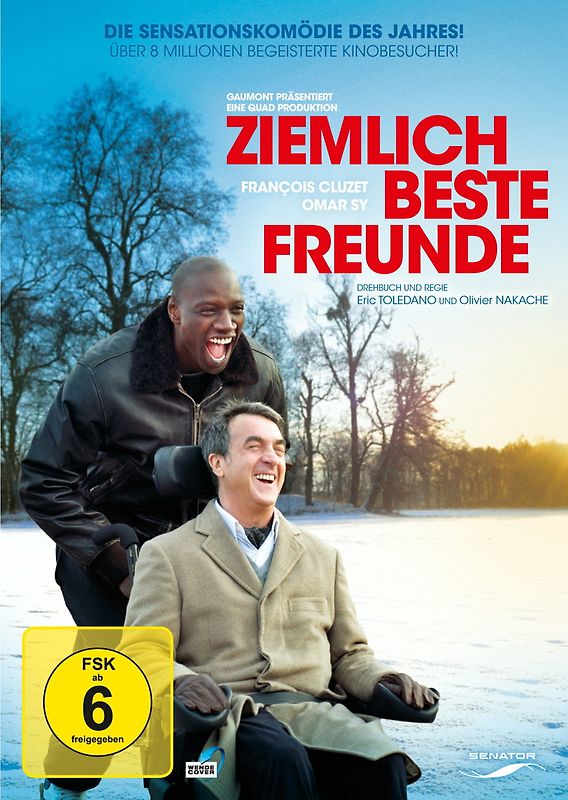 Ziemlich Beste Freunde DVD