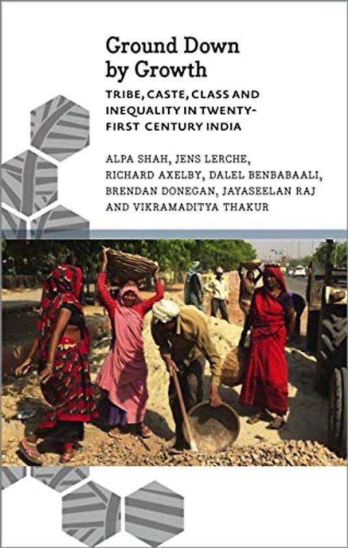Ground Down by Growth: Tribe, Caste, Class and Inequality in 21st Century India (Anthropology, Culture and Society)