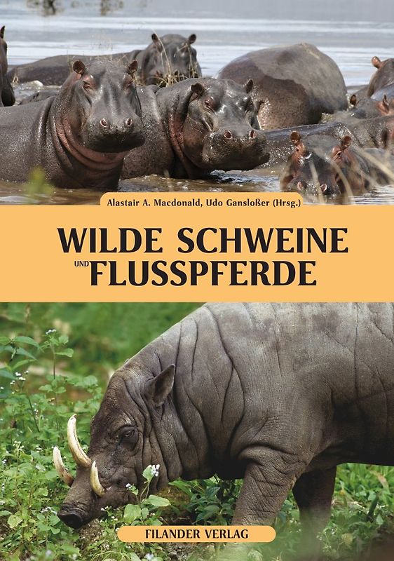 Wilde Schweine und Flusspferde