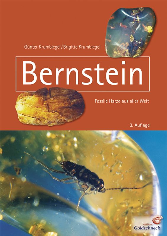 Bernstein