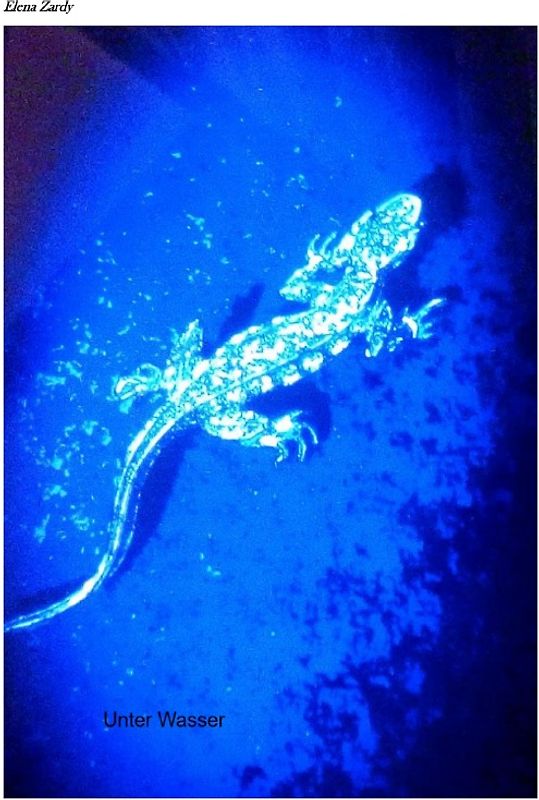 Unter Wasser